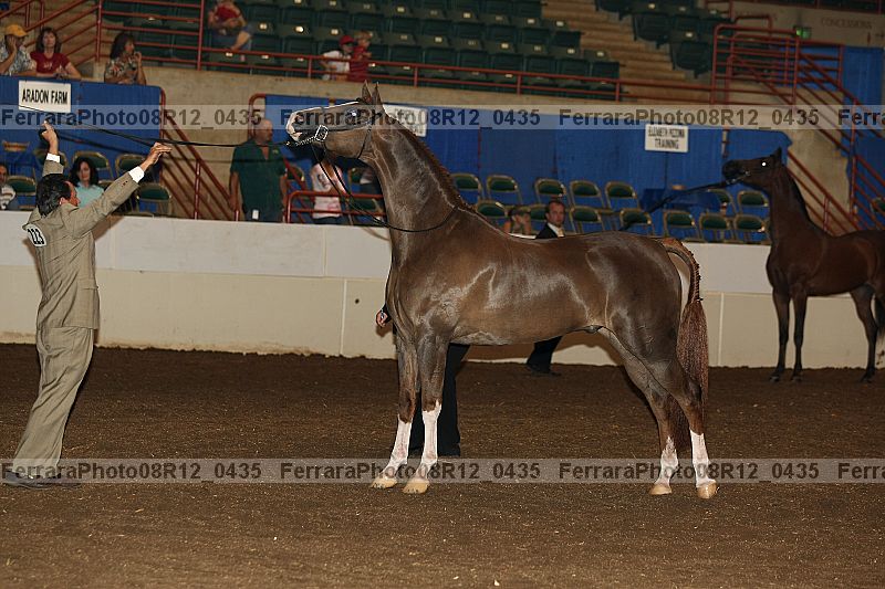 Proof 08r12_0435
