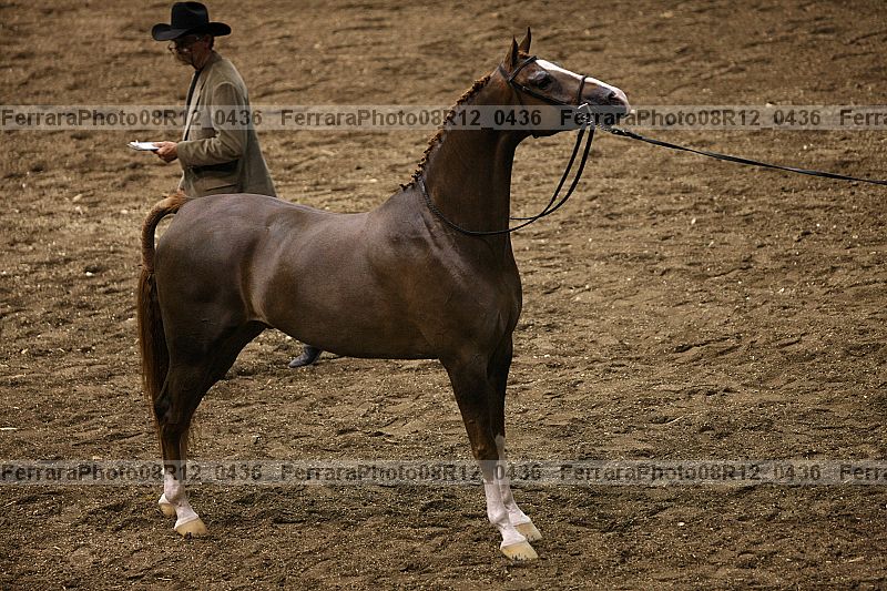 Proof 08r12_0436