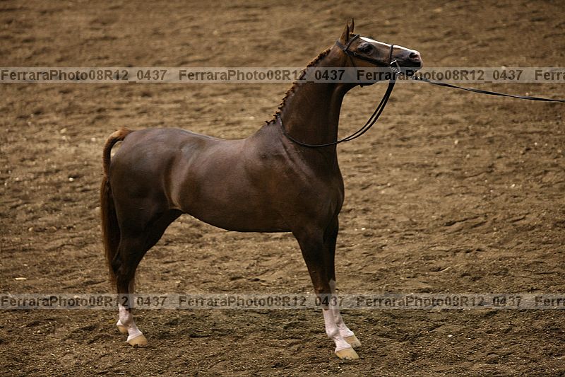 Proof 08r12_0437