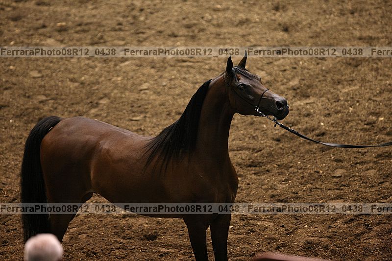 Proof 08r12_0438