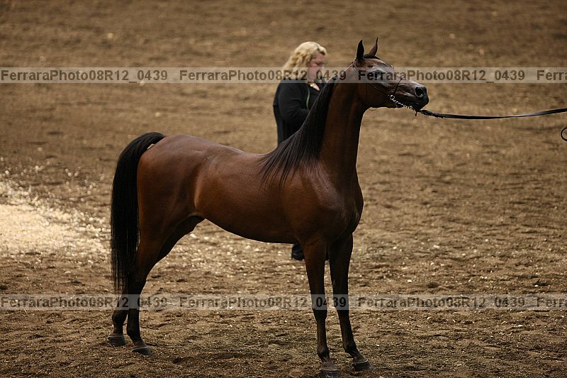 Proof 08r12_0439