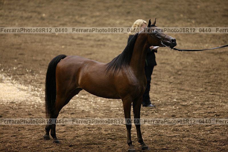 Proof 08r12_0440