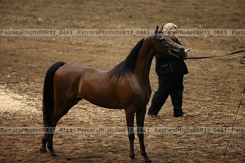Proof 08r12_0441