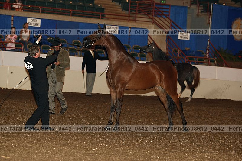Proof 08r12_0442