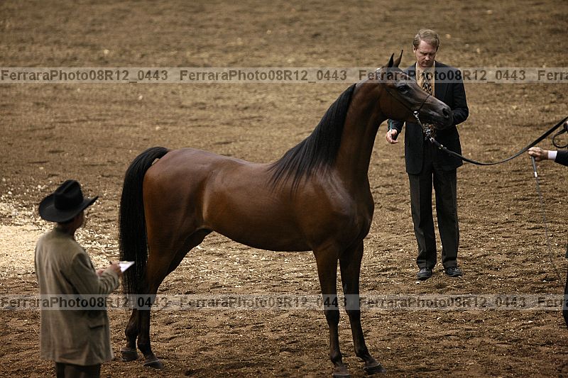 Proof 08r12_0443