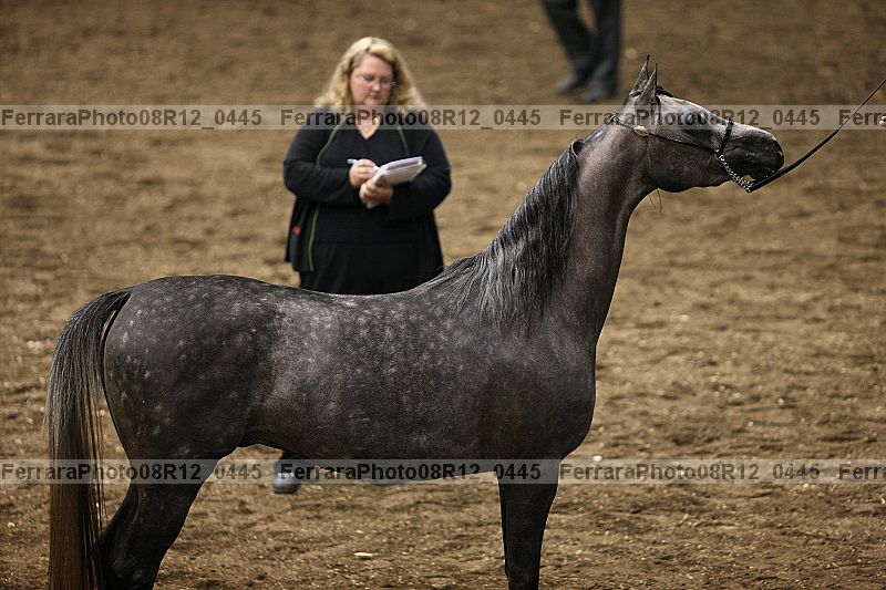 Proof 08r12_0445