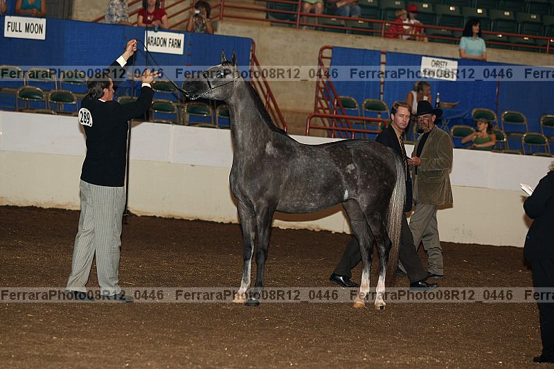 Proof 08r12_0446