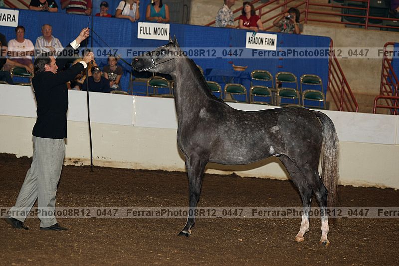 Proof 08r12_0447