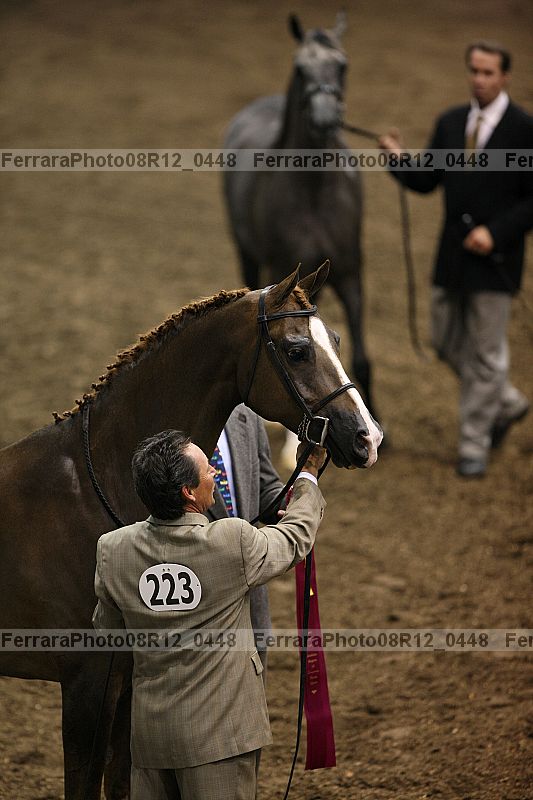 Proof 08r12_0448