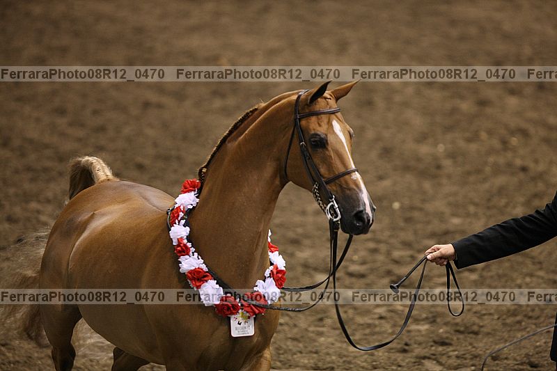 Proof 08r12_0470