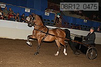 08r12_0475 proof