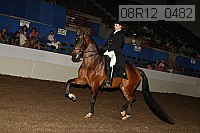 08r12_0482 proof