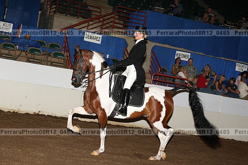 Proof 08r12_0485