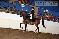 08r12_0487 proof
