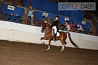 08r12_0488 proof