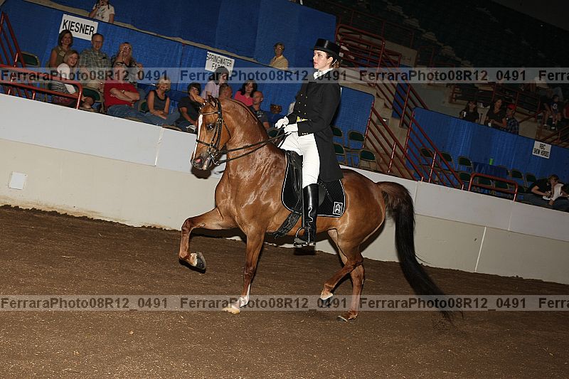 Proof 08r12_0491