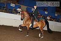 08r12_0518 proof