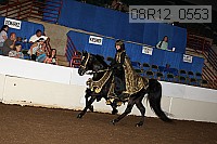 08r12_0553 proof