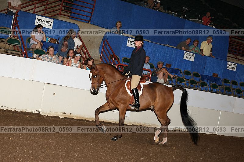 Proof 08r12_0593