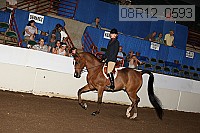08r12_0593 proof