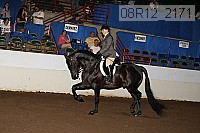 08r12_2171 proof