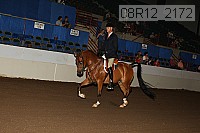 08r12_2172 proof