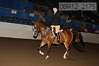 08r12_2175 proof