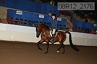 08r12_2176 proof