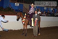 08r12_0613 proof