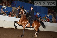 08r12_0625 proof