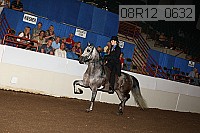 08r12_0632 proof