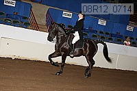 08r12_0714 proof