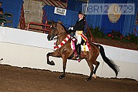 08r12_0729 proof