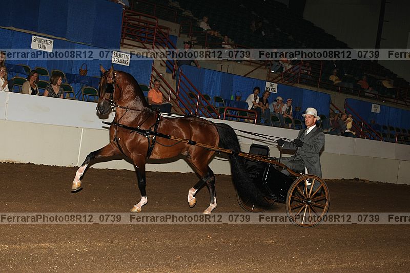 Proof 08r12_0739