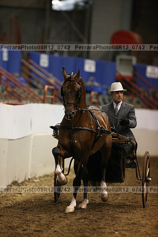 Proof 08r12_0742