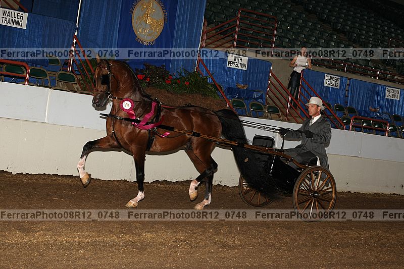 Proof 08r12_0748