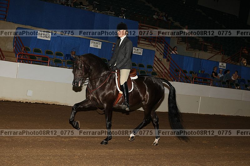 Proof 08r12_0775
