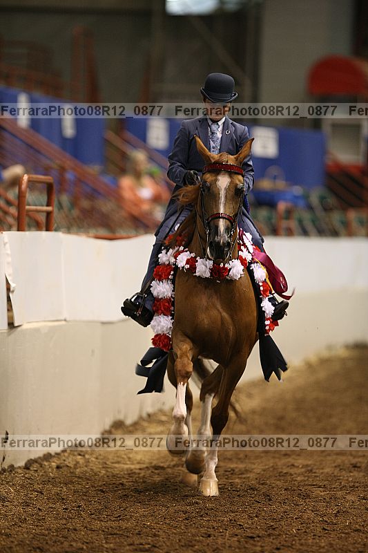 Proof 08r12_0877