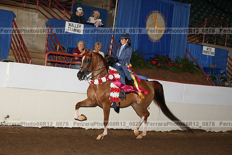 Proof 08r12_0878