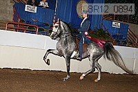 08r12_0894 proof