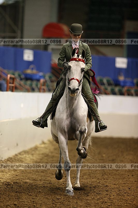 Proof 08r12_0896