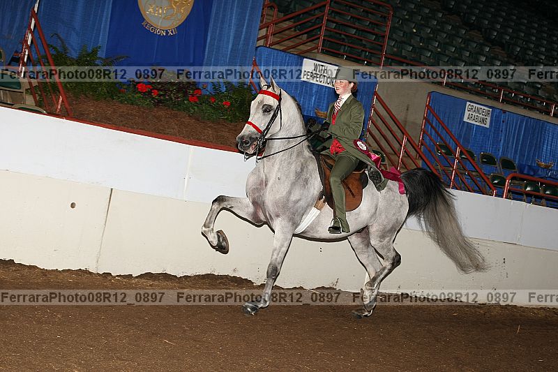 Proof 08r12_0897