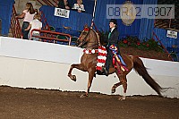 08r12_0907 proof