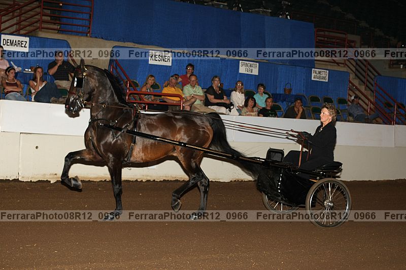 Proof 08r12_0966
