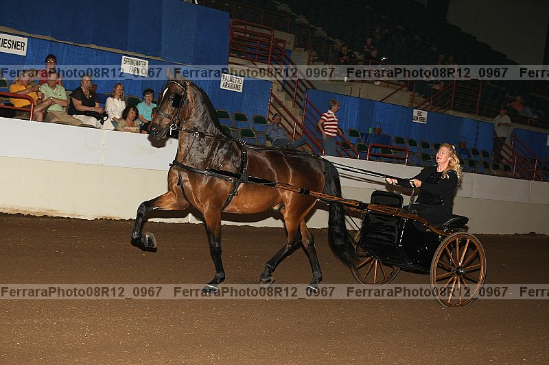 Proof 08r12_0967
