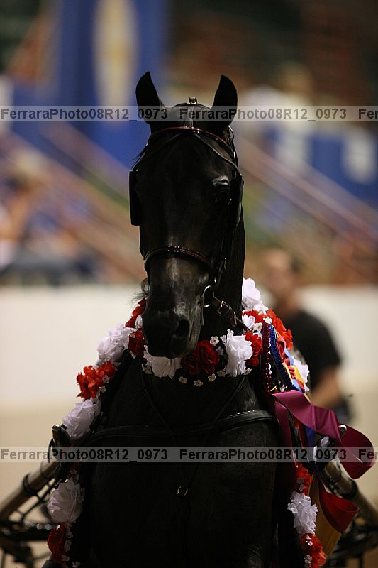 Proof 08r12_0973