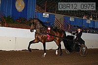 08r12_0975 proof