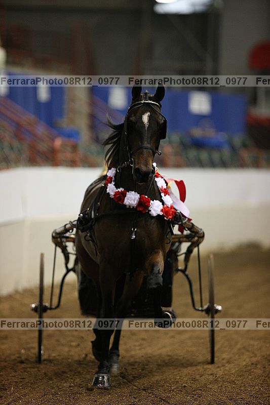 Proof 08r12_0977
