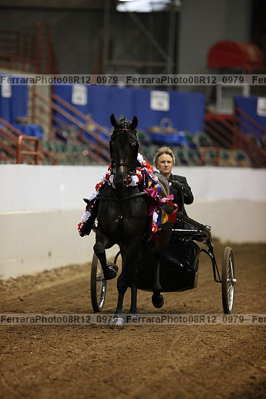Proof 08r12_0979