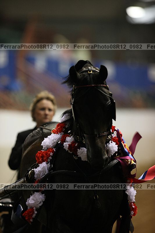 Proof 08r12_0982